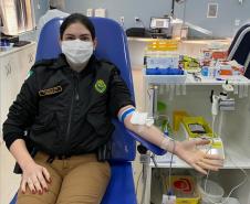 PM do Noroeste do estado comemora 53 anos de atuação com doação de sangue