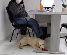 Cão da PM auxiliará em programa de saúde mental de profissionais da segurança