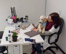Cão da PM auxiliará em programa de saúde mental de profissionais da segurança