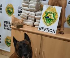 Em situações separadas, policiais militares e federais apreendem mais de 13 quilos de maconha no Oeste do Paraná