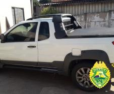 Carro carregado com 500 pacotes de veneno contrabandeados é apreendido pela PM em Tuneiras do Oeste