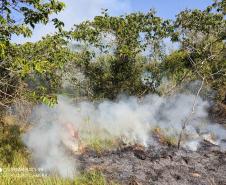 Polícia Ambiental contém incêndio no Parque Nacional de Ilha Grande durante patrulhamento de rotina