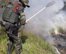 Polícia Ambiental contém incêndio no Parque Nacional de Ilha Grande durante patrulhamento de rotina