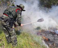 Polícia Ambiental contém incêndio no Parque Nacional de Ilha Grande durante patrulhamento de rotina