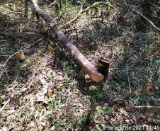 Após denúncia anônima, policiais ambientais localizam 12 hectares de área ambiental desmatada em Boa Ventura de São Roque, no interior
