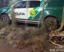 Batalhão de Polícia Ambiental-Força Verde encaminha três suspeitos por pesca ilegal e apreende quase 1 quilômetro de redes de pesca no rio Ivaí, em Fênix (PR)