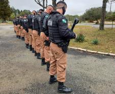 Operação da PM reforça policiamento ostensivo em várias regiões do Estado