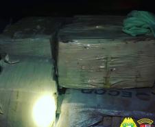Quase meia tonelada de maconha é apreendida pela Polícia Rodoviária Estadual em Iguaraçu (PR)