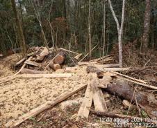  Polícia Ambiental flagra corte de mata nativa e aplica R$ 37,5 mil em multas 