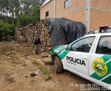  Polícia Ambiental flagra corte de mata nativa e aplica R$ 37,5 mil em multas 