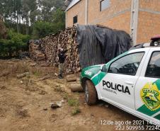  Polícia Ambiental flagra corte de mata nativa e aplica R$ 37,5 mil em multas 