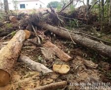  Polícia Ambiental flagra corte de mata nativa e aplica R$ 37,5 mil em multas 