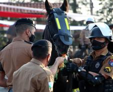 Regimento da PM completa 142 anos de história de heroísmo e atenção à população com o serviço de Equoterapia