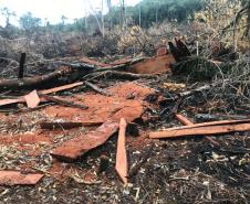 Duas pessoas são autuadas em mais de R$ 120 mil por destruir vegetação nativa em Quedas do Iguaçu, no Sudoeste do Paraná