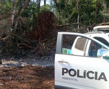 Vídeo de desmatamento chega à Polícia Ambiental e multa donos de máquina e propriedade em R$ 23,4 mil cada um em Roncador (PR)