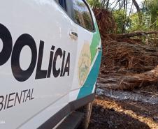 Vídeo de desmatamento chega à Polícia Ambiental e multa donos de máquina e propriedade em R$ 23,4 mil cada um em Roncador (PR)