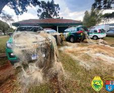 Operação Lobo Bravo da Polícia Ambiental prende quatro pessoas e apreende materiais de pesca e de caça nos Campos Gerais