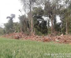 Primeiro dia da Operação Nascente Viva flagra diversos pontos de destruição de mata nativa no Sudoeste do estado