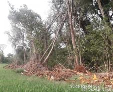 Primeiro dia da Operação Nascente Viva flagra diversos pontos de destruição de mata nativa no Sudoeste do estado