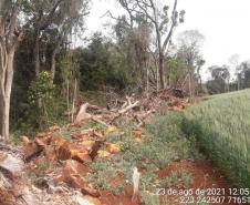 Primeiro dia da Operação Nascente Viva flagra diversos pontos de destruição de mata nativa no Sudoeste do estado