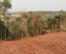 Primeiro dia da Operação Nascente Viva flagra diversos pontos de destruição de mata nativa no Sudoeste do estado