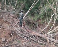 Primeiro dia da Operação Nascente Viva flagra diversos pontos de destruição de mata nativa no Sudoeste do estado