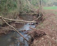 Primeiro dia da Operação Nascente Viva flagra diversos pontos de destruição de mata nativa no Sudoeste do estado