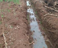 Primeiro dia da Operação Nascente Viva flagra diversos pontos de destruição de mata nativa no Sudoeste do estado