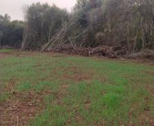 Primeiro dia da Operação Nascente Viva flagra diversos pontos de destruição de mata nativa no Sudoeste do estado