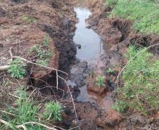 Primeiro dia da Operação Nascente Viva flagra diversos pontos de destruição de mata nativa no Sudoeste do estado