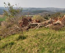 Primeiro dia da Operação Nascente Viva flagra diversos pontos de destruição de mata nativa no Sudoeste do estado