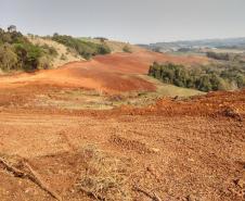 Primeiro dia da Operação Nascente Viva flagra diversos pontos de destruição de mata nativa no Sudoeste do estado