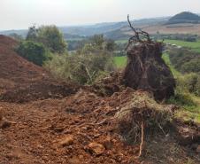 Primeiro dia da Operação Nascente Viva flagra diversos pontos de destruição de mata nativa no Sudoeste do estado