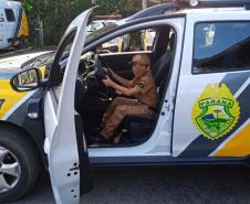 Polícia Militar de Morretes (PR) visita pequeno fã da corporação e entrega farda infantil de presente