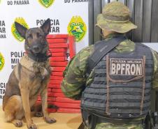 Durante Operação Hórus, Polícia da Fronteira apreende 26,8 quilos de maconha em ônibus de viagem, na cidade de Cascavel (PR)