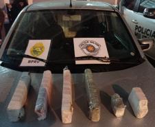 BPRv apreende quase 900 quilos de maconha em ocorrências distintas no Interior do estado