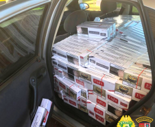 Batalhão Rodoviário da PM apreende mais de 450 quilos de maconha e cigarros no Interior do estado