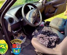 PM prende três pessoas e apreende mais de 200 gramas de maconha em Morretes (PR)