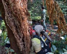 BPMOA resgata mulher após escorregar em riacho em Campo Largo (PR)