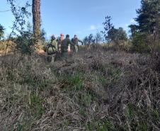 BPMOA resgata mulher após escorregar em riacho em Campo Largo (PR)