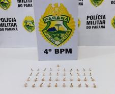 No Norte do Paraná, PM apreende cocaína, crack e um tipo modificado de maconha e encaminha três por tráfico, em ações distintas