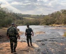 Oito pessoas são presas durante a operação Casca Grossa da Polícia Ambiental, no Norte do estado