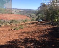 Oito pessoas são presas durante a operação Casca Grossa da Polícia Ambiental, no Norte do estado