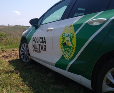 Polícia Ambiental encaminha duas pessoas por caça ilegal em São Jorge do Ivaí (PR); Quatro armas de fogo foram apreendidas