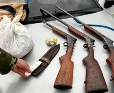 Armas para caça, animais abatidos e carvoaria ilegal são localizados pela Polícia Ambiental no Interior e na RMC