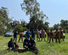 PM apreende 20 quilos de maconha em Londrina, no Norte do estado