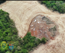 Polícia Ambiental flagra desmatamento e proprietário é preso após tentativa de homicídio contra equipe em Peabiru (PR)