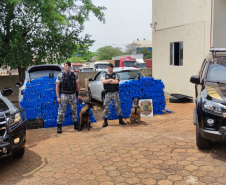 Operação da PM e Polícia Federal apreende 1.080 quilos de maconha no Norte do Estado