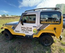 PM leiloa 258 veículos no Noroeste e Oeste do Estado