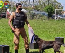 Batalhão da PM de Pato Branco (PR) recebe alunos para o projeto Café com a PM